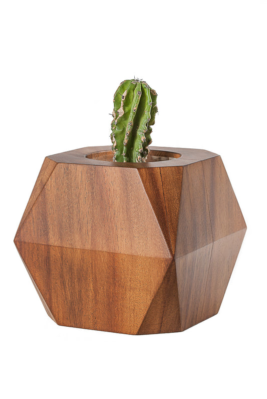 Maceta Hira Parota - La Veta