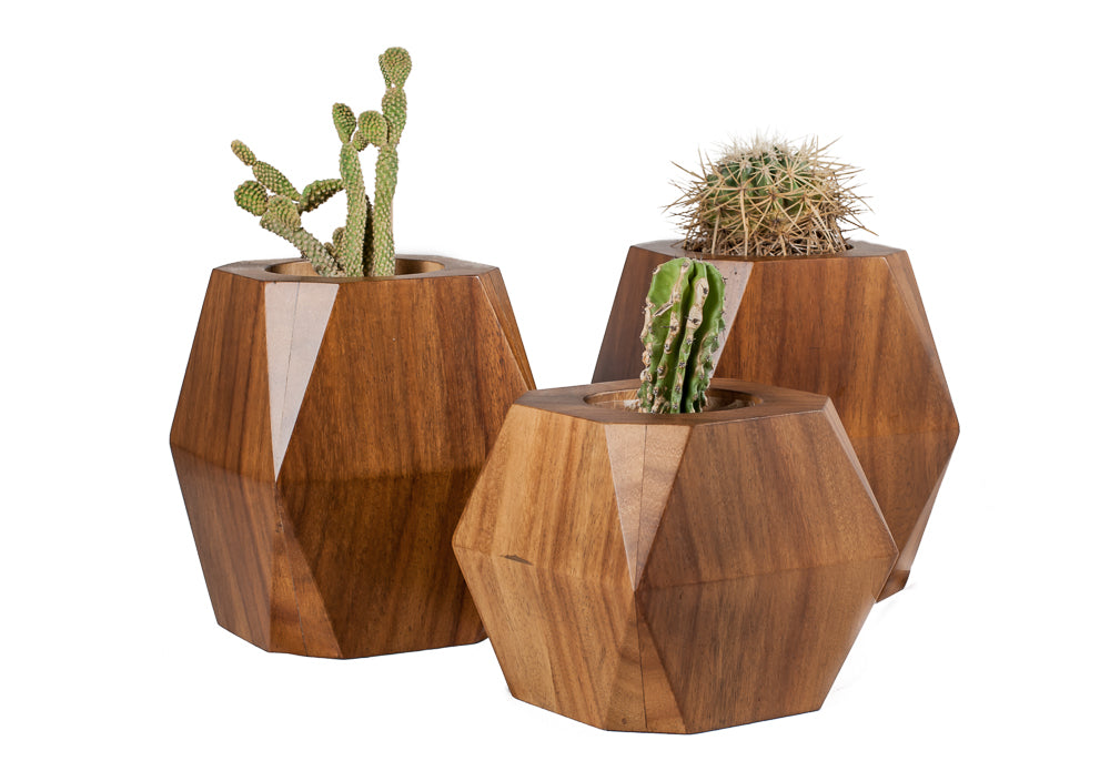 Maceta Hira Parota - La Veta