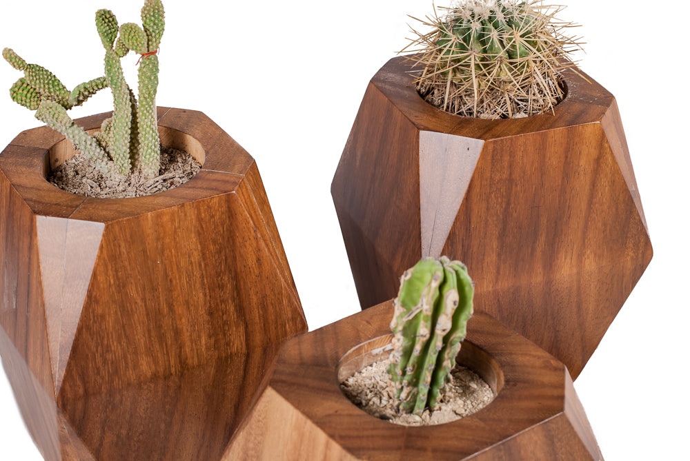 Maceta Hira Parota - La Veta