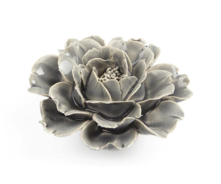 Coral Ceramica 4